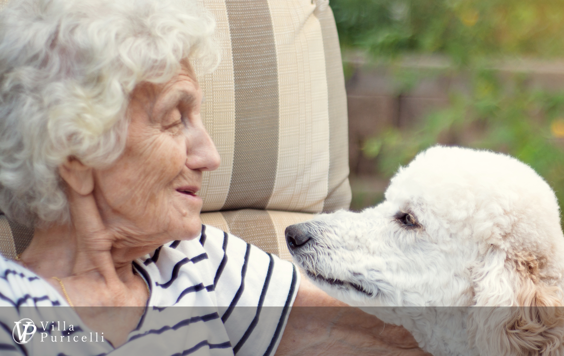Villa Puricelli pet therapy